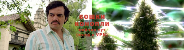 СК Елабуга