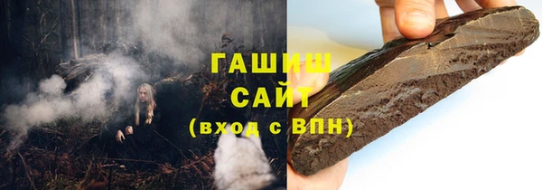 PSILOCYBIN Ельня