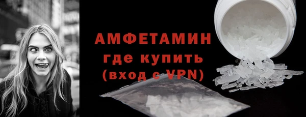 PSILOCYBIN Ельня