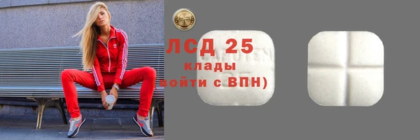 СК Елабуга