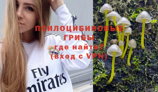 крисы Заволжск