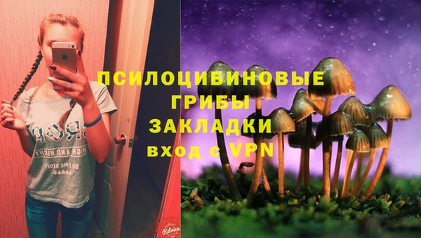 PSILOCYBIN Ельня