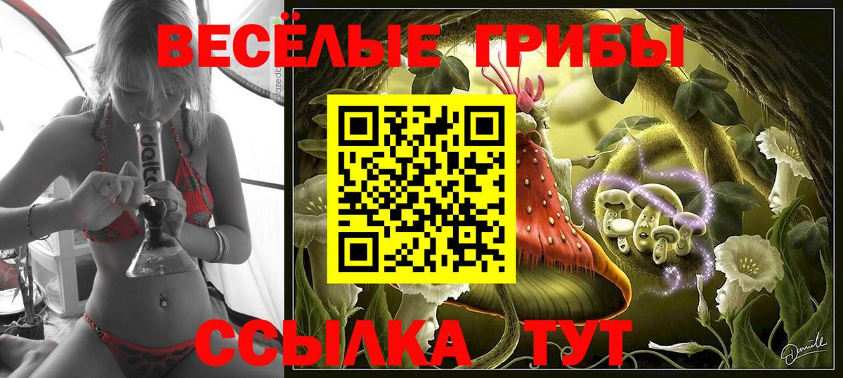 Галлюциногенные грибы ЛСД Зеленокумск