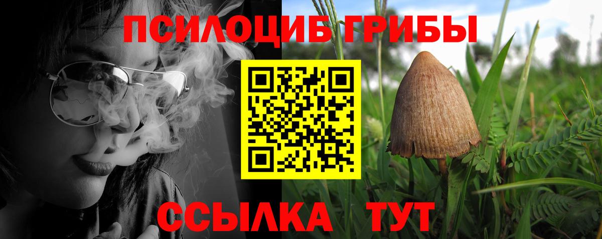 Псилоцибиновые грибы GOLDEN TEACHER  что такое наркотик  Зеленокумск  Вход с VPN 